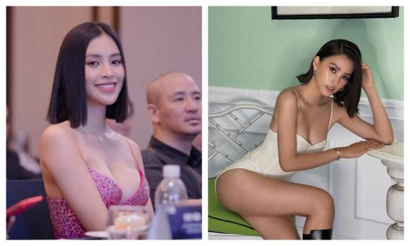 Hoa hậu tiểu vy,hoa hậu việt nam 2018,sao việt