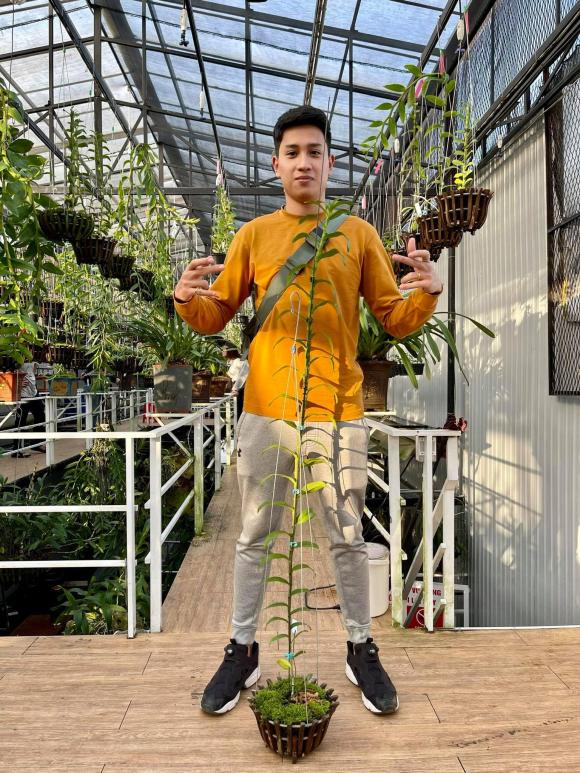 quang2.jpg 0 Trần Hồ Quang, Nghệ nhân lan, Lan đột biến