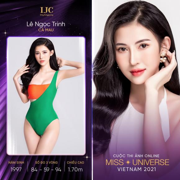 Hoa hậu Hoàn vũ Việt Nam 2020, sao Việt