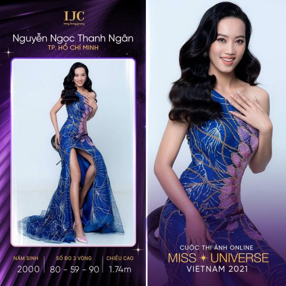 Hoa hậu Hoàn vũ Việt Nam 2020, sao Việt