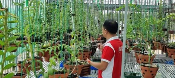 Nguyễn Duy Quý, Lan var, Lan đột biến