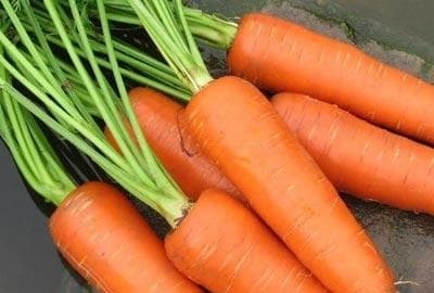 Ăn cà rốt với nó giống như là uống thuốc độc, thực phẩm kiêng kỵ với cà rốt, chăm sóc sức khỏe đúng cách