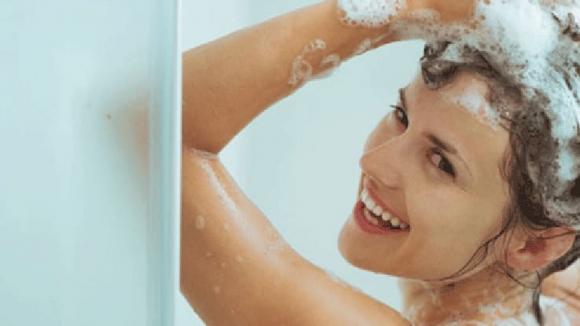 chấy, rận, chấy rận, kí sinh trùng