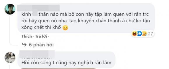 nuôi rắn làm thú cưng, con rắn, nuôi rắn