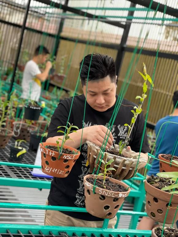 Nghệ nhân Trần Hạo Nam, Lan đột biến, Trồng hoa lan