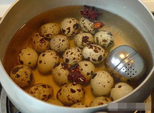 trứng, trứng vịt, trứng gà, trứng ngỗng, trứng chim bồ câu, trứng cút