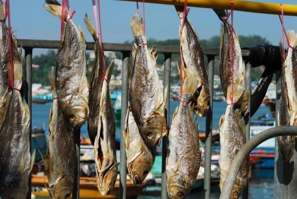 cá, ăn cá, an toàn thực phẩm, loại cá không nên ăn