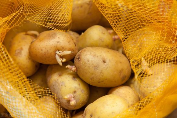 độc tố, thức ăn có độc, an toàn thực phẩm
