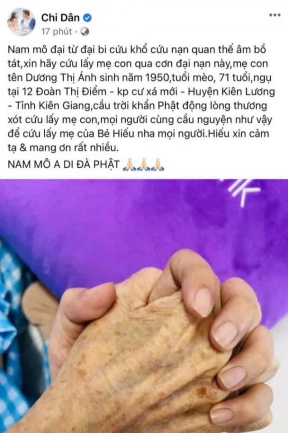 Ninh Dương Lan Ngọc, Chi Dân, sao việt, showbiz việt