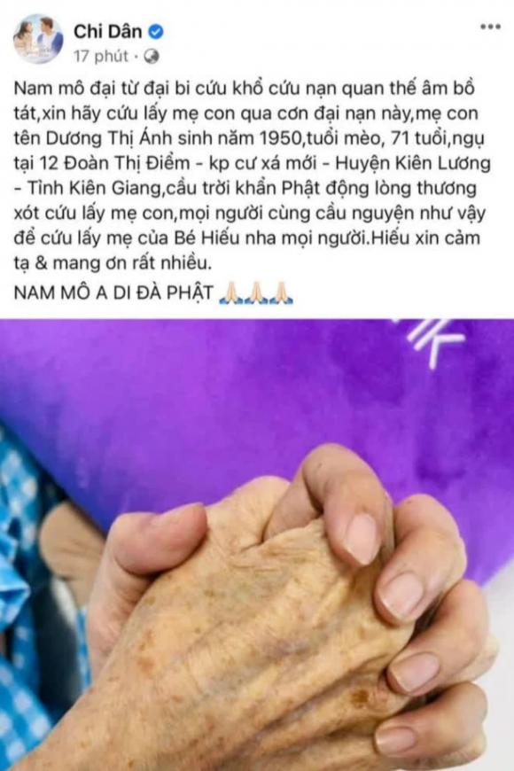 Ninh Dương Lan Ngọc, Chi Dân, sao việt, showbiz việt