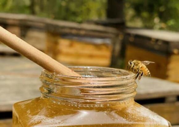 mật ong, nước mật ong, mật ong uống sáng hay tối