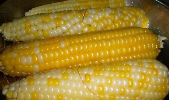 cách luộc ngô, luộc ngô như thế nào, lưu ý khi luộc ngô