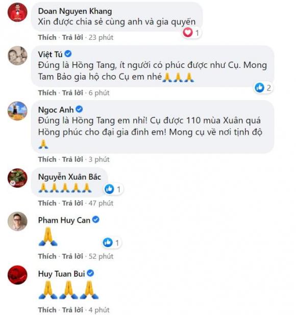 ca sĩ Tùng Dương, Tùng Dương, sao Việt