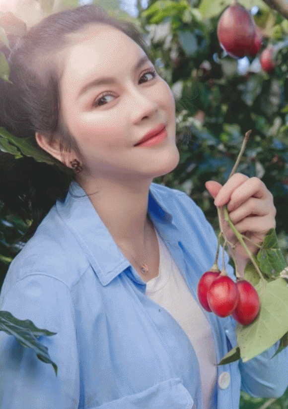 diễn viên Lý Nhã Kỳ, sao Việt