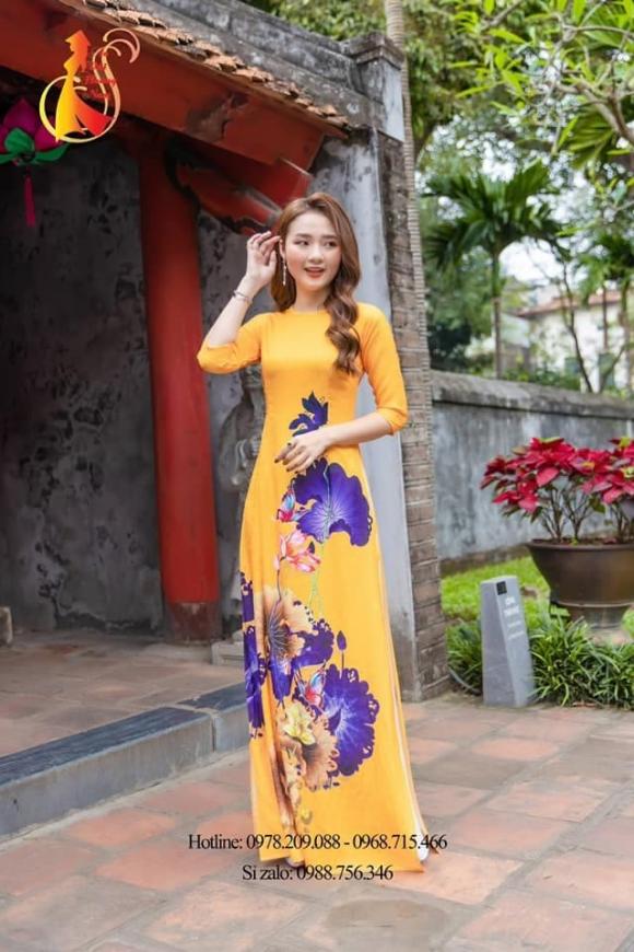 Áo dài Hoàng Nam, áo dài việt