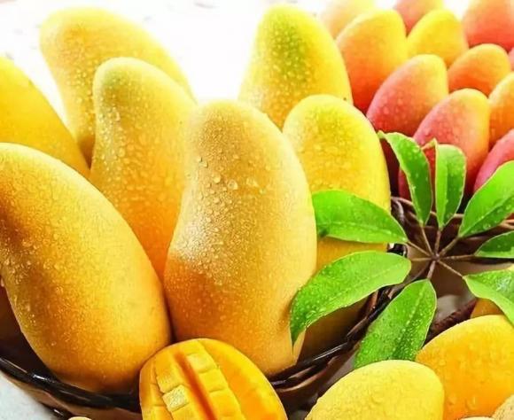 xoài, xoài kỵ với hải sản, mẹo vặt