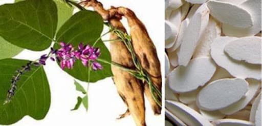 tăng vòng ngực, ăn gì để ngực to, thực phẩm nâng ngực