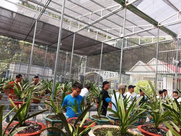 Vườn lan chí tâm, nghệ nhân hà chí tâm, chăm sóc hoa lan