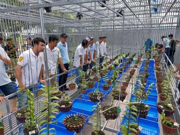 Vườn lan chí tâm, nghệ nhân hà chí tâm, chăm sóc hoa lan