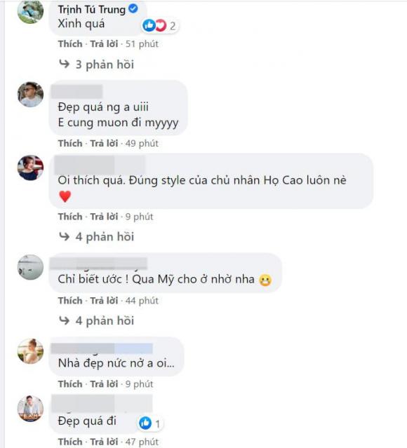 Cao Thái Sơn, Nathan Lee, sao Việt
