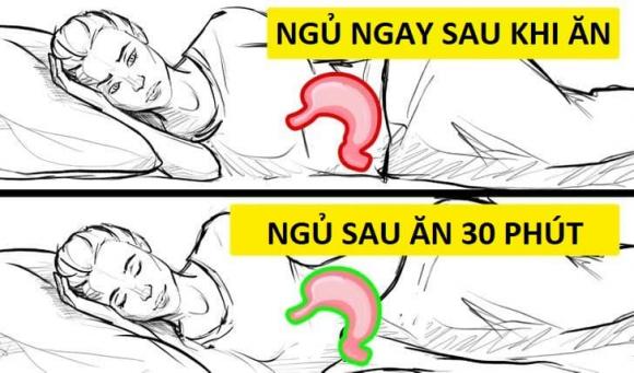 Ngủ, ngủ trưa, ngủ sau khi ăn, ngủ trưa sau khi ăn, sau khi ăn, giấc ngủ