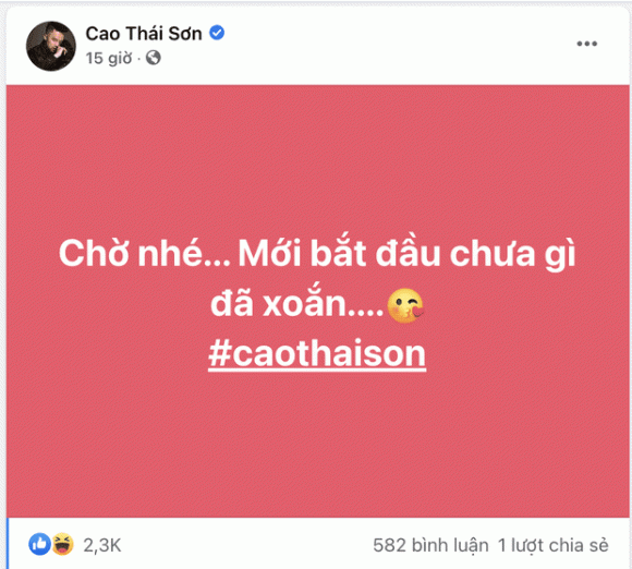 Cao Thái Sơn, Nathan Lee, Nam ca sĩ