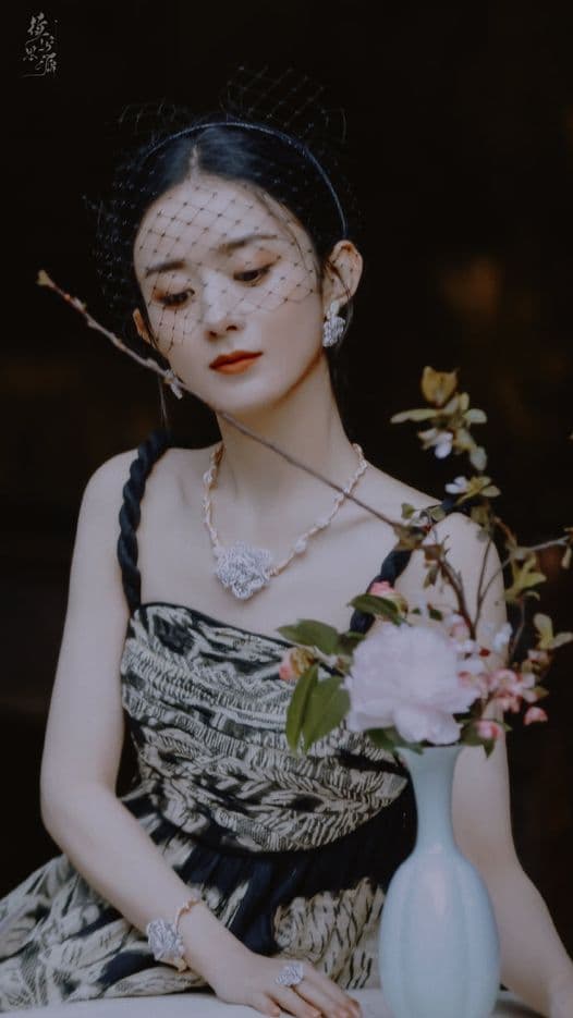 triệu lệ dĩnh, phùng thiệu phong, triệu lệ dĩnh dior