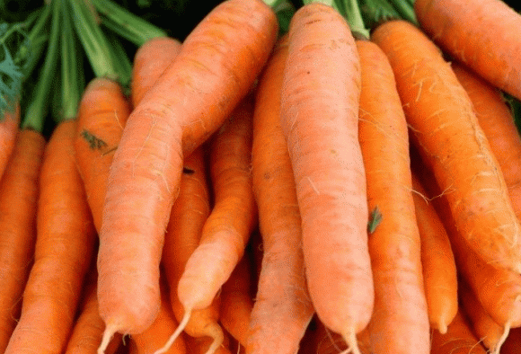 món ngon mỗi ngày, cà rốt xào cần tây, ẩm thực gia đình