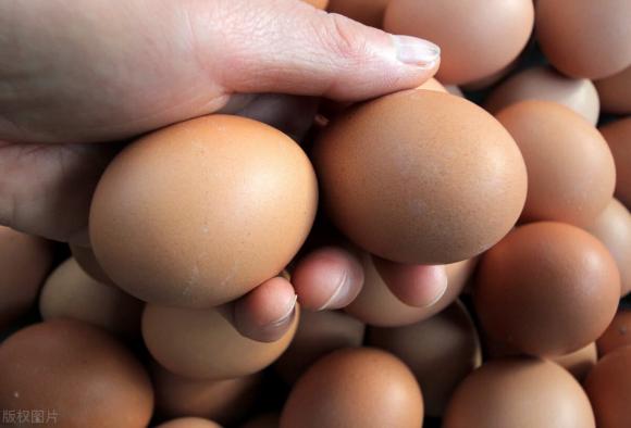 trứng, bảo quản trứng