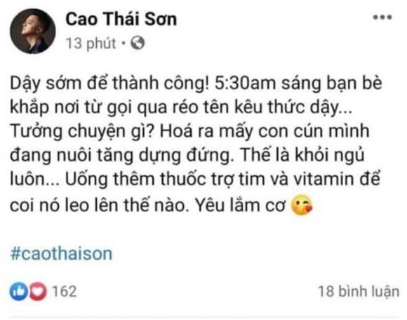 Cao Thái Sơn, Nathan Lee, sao Việt