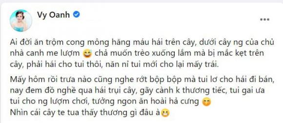 Vy Oanh, Vân Hugo, sao Việt