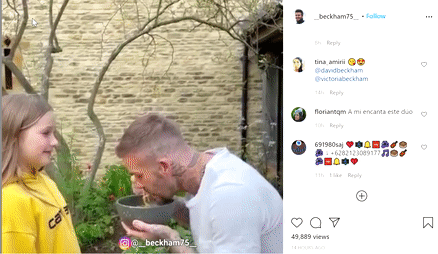 da.gif 0 david beckham, harper seven, hôn môi, sao hollywood