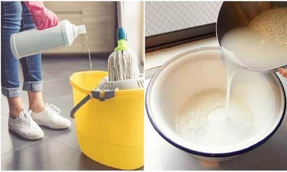 chốt kiểm dịch, Bắc Giang, hình ảnh đẹp, đậu đũa