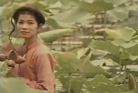 Võ Hoài Nam, vợ Võ Hoài Nam, sao việt 