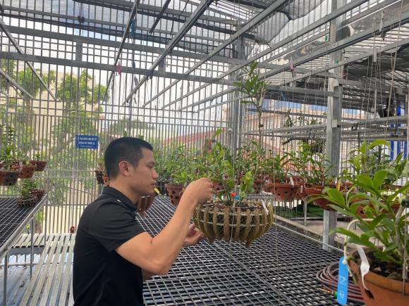 hoa lan Phi Điệp, trồng hoa lan, Nghệ nhân Phan Tiến