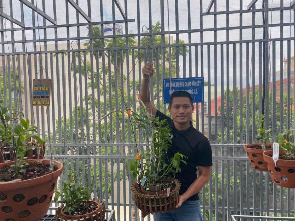 hoa lan Phi Điệp, trồng hoa lan, Nghệ nhân Phan Tiến