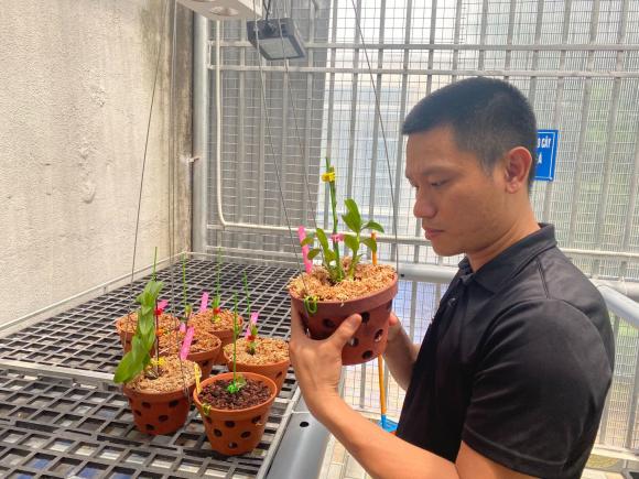 hoa lan Phi Điệp, trồng hoa lan, Nghệ nhân Phan Tiến