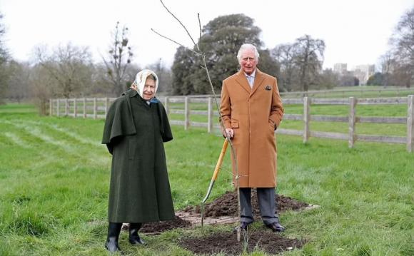 harry meghan, nữ hoàng anh, thái tử charles