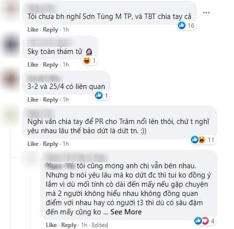 Sơn Tùng M-TP, Thiều Bảo Trâm, sao Việt