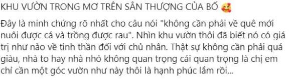 trồng cây trên sân thượng, khu vườn của ông bố trẻ, thanh niên 