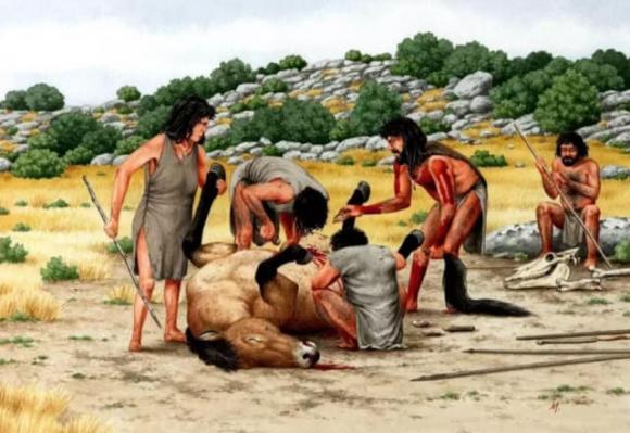 hổ, hổ ăn thịt, thú dữ, hổ Siberia