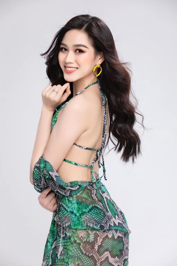 Đỗ Thị Hà, Hoa hậu Việt Nam, Hoa hậu Đỗ Thị Hà
