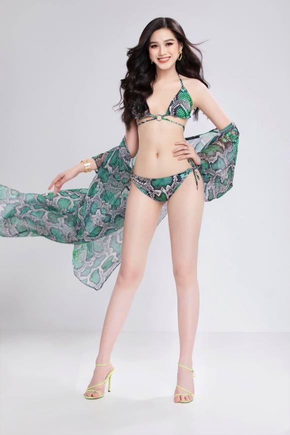 Đỗ Thị Hà, Hoa hậu Việt Nam, Hoa hậu Đỗ Thị Hà