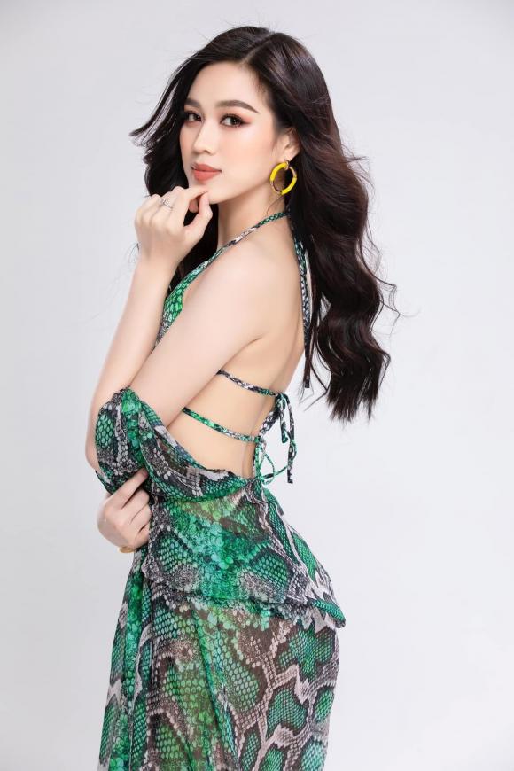 Đỗ Thị Hà, Hoa hậu Việt Nam, Hoa hậu Đỗ Thị Hà