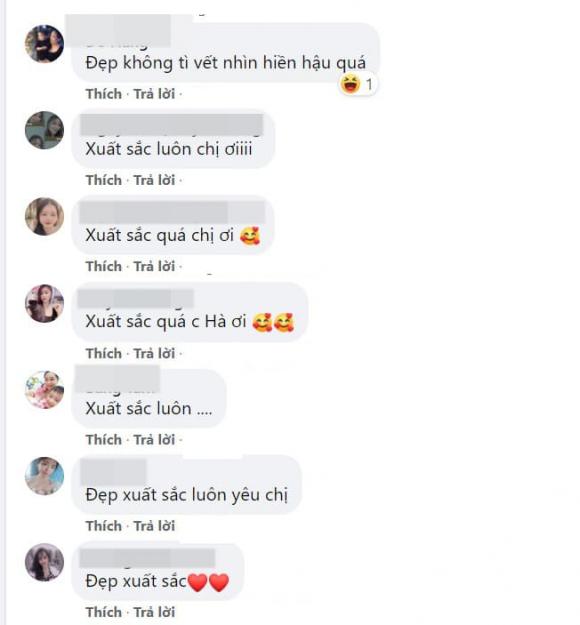 Đỗ Thị Hà, Hoa hậu Việt Nam, Hoa hậu Đỗ Thị Hà