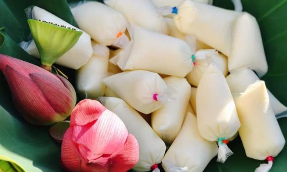 công thức làm sữa chua, đưa sữa chua phơi nắng, ủ sữa chua