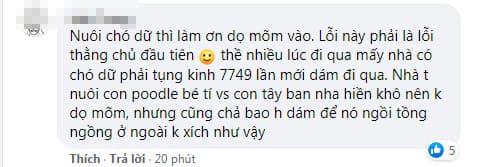 pitbull cắn người, chó pitbull, người cha nạy răng chó pitbull cứu con