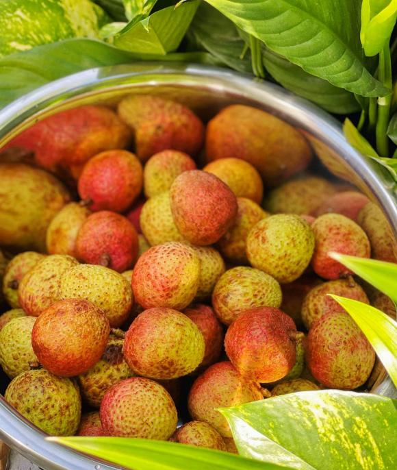 các món ngon từ vải, kem vải, vải sấy, món ngon 