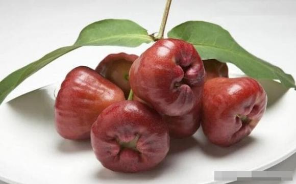 quả roi, mận, trái cây mùa hè