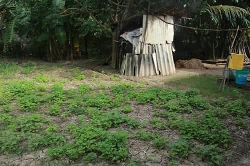 Hồ Văn Cường, Sao Việt, Căn nhà cấp 4